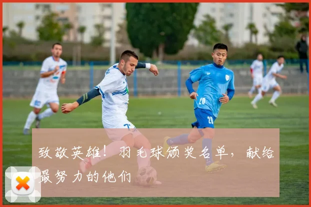 致敬英雄!羽毛球颁奖名单,献给最努力的他们