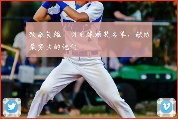 致敬英雄!羽毛球颁奖名单,献给最努力的他们